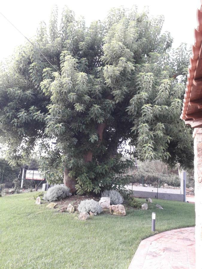 Agriturismo Quattro Mori Порто-Торрес Экстерьер фото